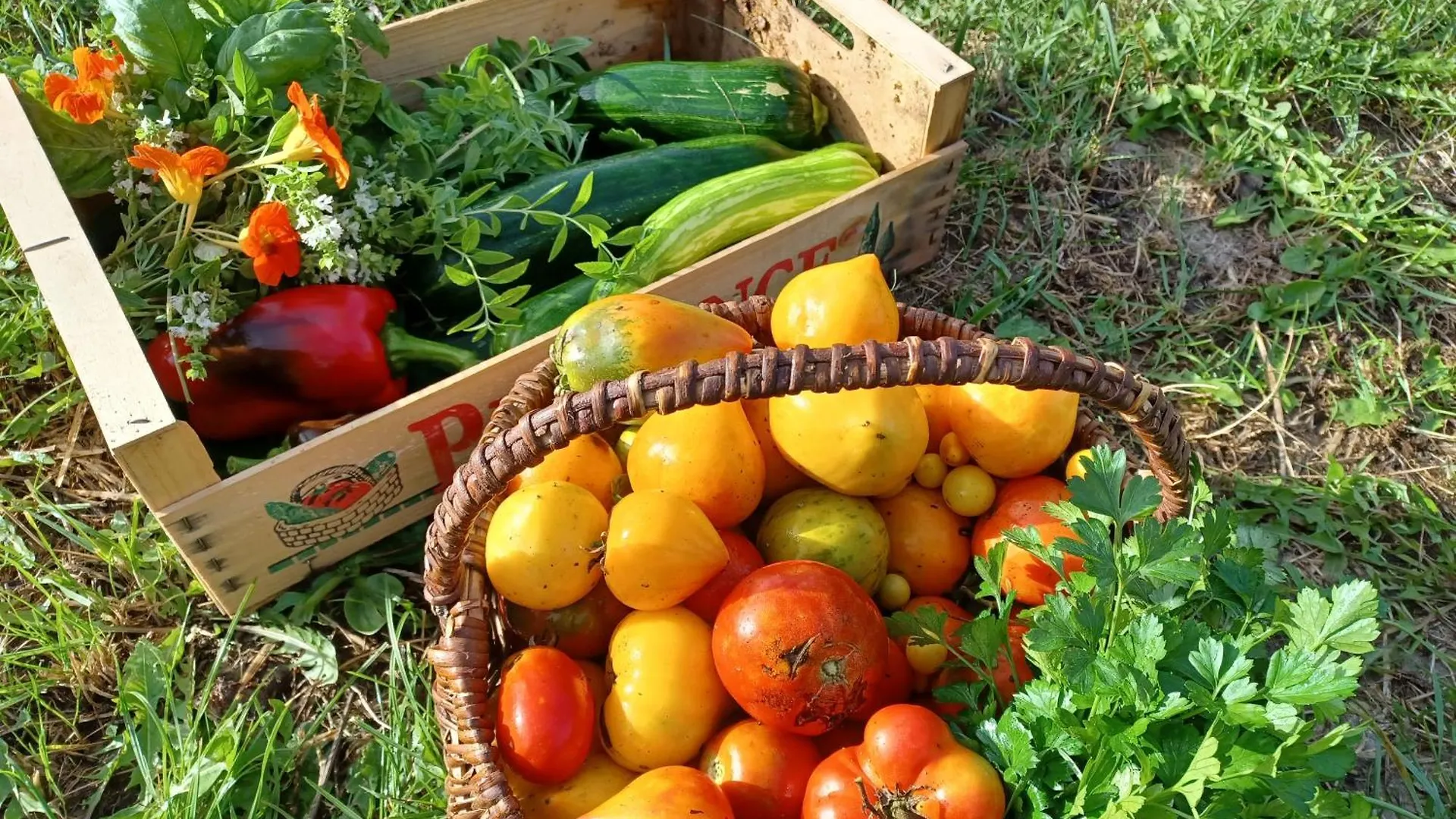Bed & Breakfast Chambre Dans Ferme Provencale Ongles