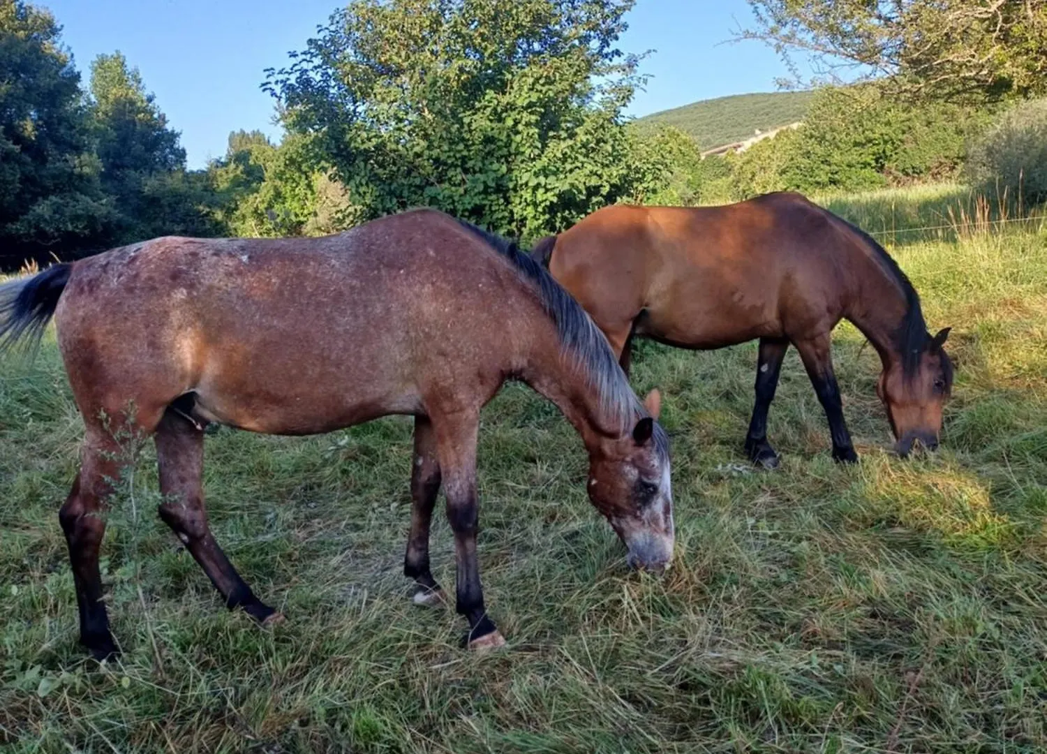 Chambre Dans Ferme Provencale Ongles 0*,