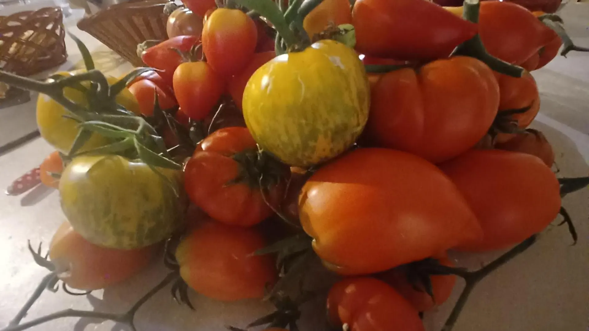 Chambre Dans Ferme Provencale Ongles
