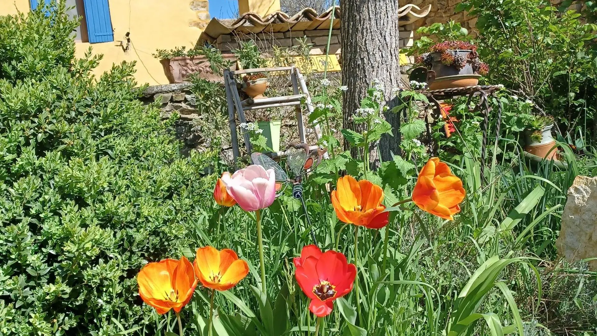 Chambre Dans Ferme Provencale Ongles France